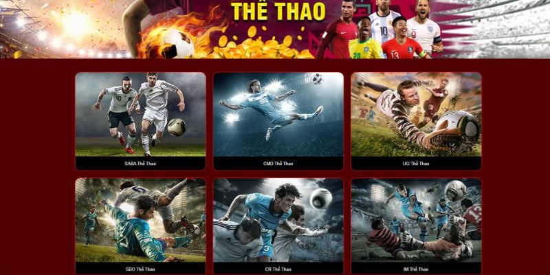 Trải nghiệm cá cược thể thao hấp dẫn bậc nhất thị trường