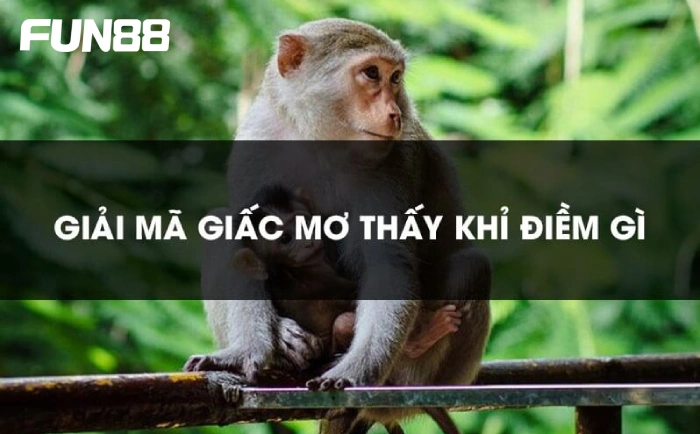 Giải mã giấc mơ thấy khỉ theo sổ mơ lô đề từ chuyên gia 2023 1 Ý nghĩa của giấc mơ thấy khỉ
