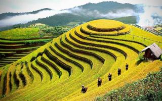 Đặc sản ngon nổi tiếng Yên Bái bạn nên thử qua