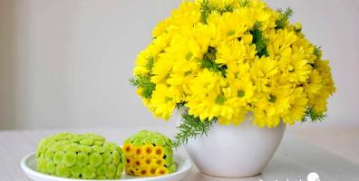 Bài văn thuyết minh về hoa cúc hay nhất