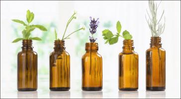 Địa chỉ bán tinh dầu tràm chất lượng và uy tín nhất tỉnh Vĩnh Phúc