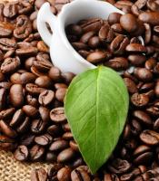 Địa chỉ mua cafe rang xay ngon tại Hà Nội
