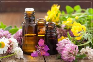 Thương hiệu tinh dầu thiên nhiên tốt nhất Việt Nam