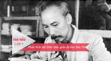Bài văn phân tích văn bản 