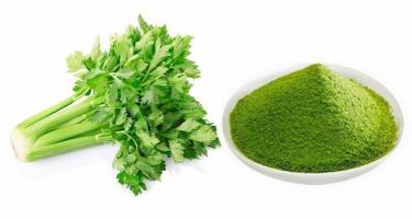 Địa chỉ bán bột cần tây chất lượng nhất tại Hà Nội