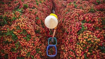 Đặc sản nổi tiếng nhất tỉnh Bắc Giang