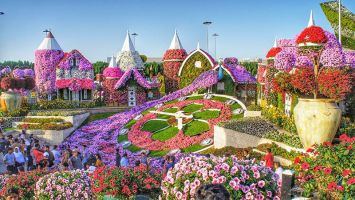 Khu vườn đẹp như truyện thần tiên