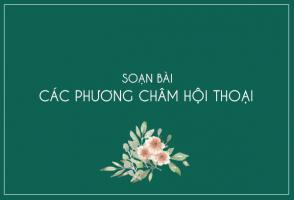 Bài soạn 