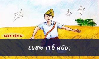 Bài soạn 