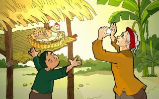 Bài văn phân tích tình cảm bà cháu trong bài thơ 