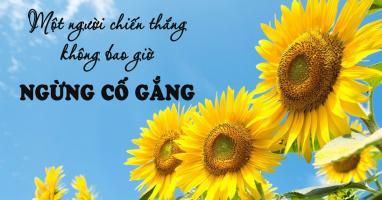 Bài thơ hay giúp bạn có thêm niềm tin và động lực cố gắng