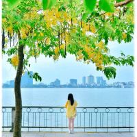 Bài thơ viết về Hồ Tây hay nhất