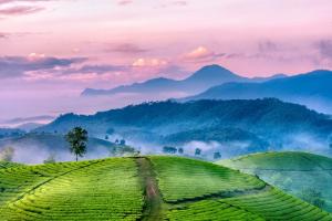 Bài thơ viết về núi rừng hay nhất