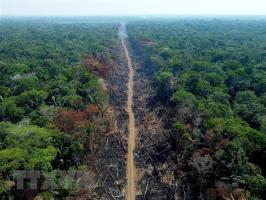 Bài văn nghị luận về câu nói 