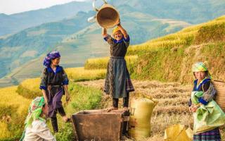 Bài văn nghị luận về vẻ đẹp của đất nước và con người Viêt Nam hay nhất