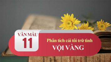 Bài văn phân tích cái tôi trữ tình trong bài thơ 