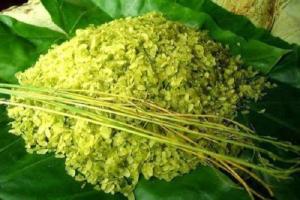 Bài văn phân tích bài thơ Đây mùa thu tới của Xuân Diệu (Ngữ văn 11) hay nhất