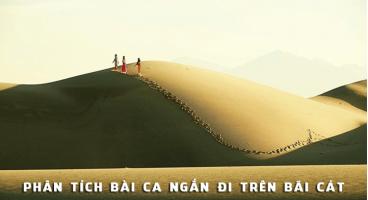 Bài văn phân tích tác phẩm 