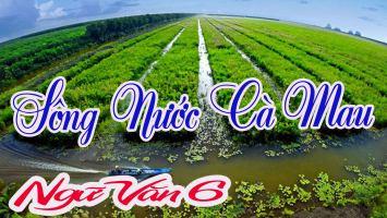 Bài văn phát biểu cảm nghĩ bài 