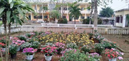 Bài văn tả vườn hoa trường em hay nhất