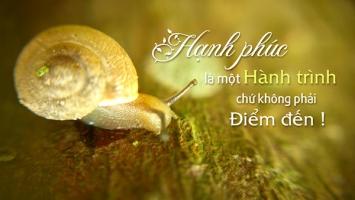 Điều khiến bạn không cảm thấy hạnh phúc