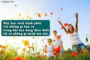 Lý do vì sao bạn không hạnh phúc