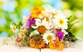 Cách giữ hoa tươi lâu đơn giản tại nhà