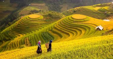 Bài thơ viết về nỗi nhớ nhà, nhớ quê hương hay nhất