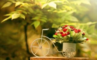 Câu nói giúp bạn mạnh mẽ hơn