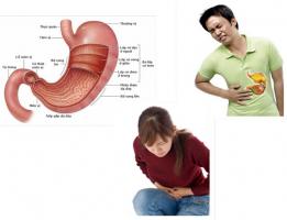 Thực phẩm giúp chữa viêm hang vị dạ dày hiệu quả nhất