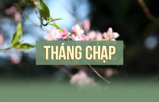 Tản văn viết về tháng chạp hay nhất