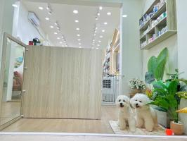 Khách sạn thú cưng uy tín nhất quận Bình Thạnh, TP.HCM