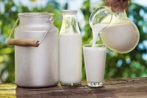Công dụng làm đẹp bằng sữa tươi không đường hiệu quả nhất