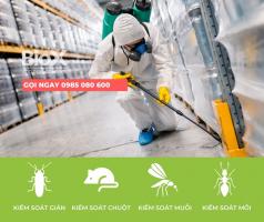 Công ty diệt côn trùng uy tín nhất tại Hải Phòng