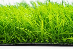Địa chỉ bán cỏ nhân tạo chất lượng tại Bình Dương