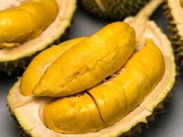 Địa chỉ bán sầu riêng ngon và chất lượng nhất tại Hà Nội