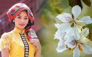 Địa chỉ cho thuê trang phục biểu diễn giá tốt và uy tín nhất Đồng Tháp