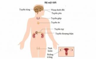 Địa chỉ khám nội tiết tốt nhất Hà Nội