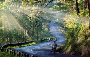 địa điểm du lịch Đà Lạt không thể bỏ qua