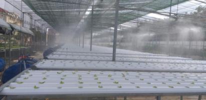 Dịch vụ lắp đặt hệ thống phun sương uy tín nhất tại TP. HCM