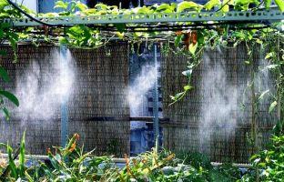 Dịch vụ lắp đặt hệ thống phun sương uy tín nhất Hải Phòng