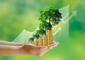Dịch vụ tư vấn môi trường chuyên nghiệp tại TP.HCM