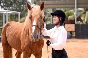 Điểm đến cho người mê cưỡi ngựa 