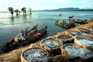 Điểm nên đến khi bạn ghé thăm Châu Đốc -Tịnh Biên