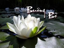 Điều đáng buông bỏ nhất trong cuộc sống để an nhàn, hạnh phúc