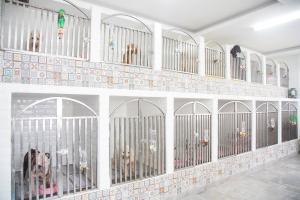 Khách sạn thú cưng uy tín nhất Quận 5, TP.HCM