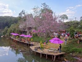 Địa điểm du lịch mới xuất hiện thích hợp khám phá trong mùa hè
