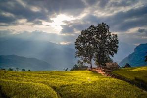 Kinh nghiệm du lịch Y Tý - Lào Cai hữu ích nhất