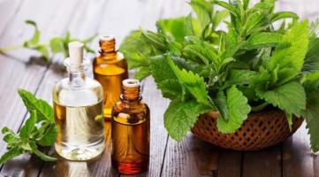 Địa chỉ massage thư giãn tốt nhất tỉnh Ninh Thuận