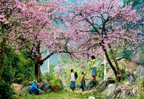 Trải nghiệm thú vị nhất khi du lịch Sơn La